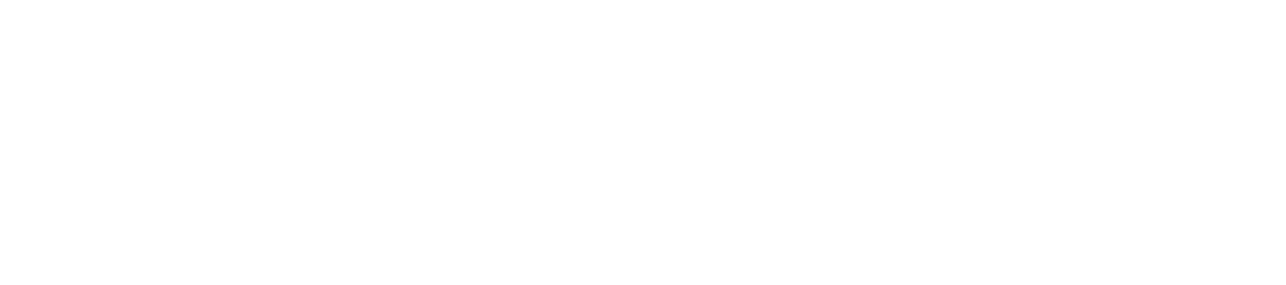 GoVeya logo white